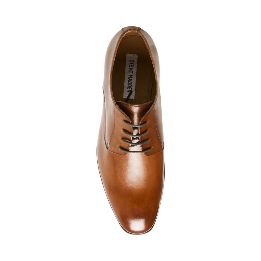 Zapatos Derby Steve Madden Prey Cuero Hombre Marrones | ES ZP4916